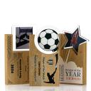 Image of Oak Layered Acrylic Award