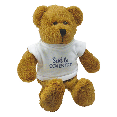 Image of 9'' Scraggy Bear with White T Shirt